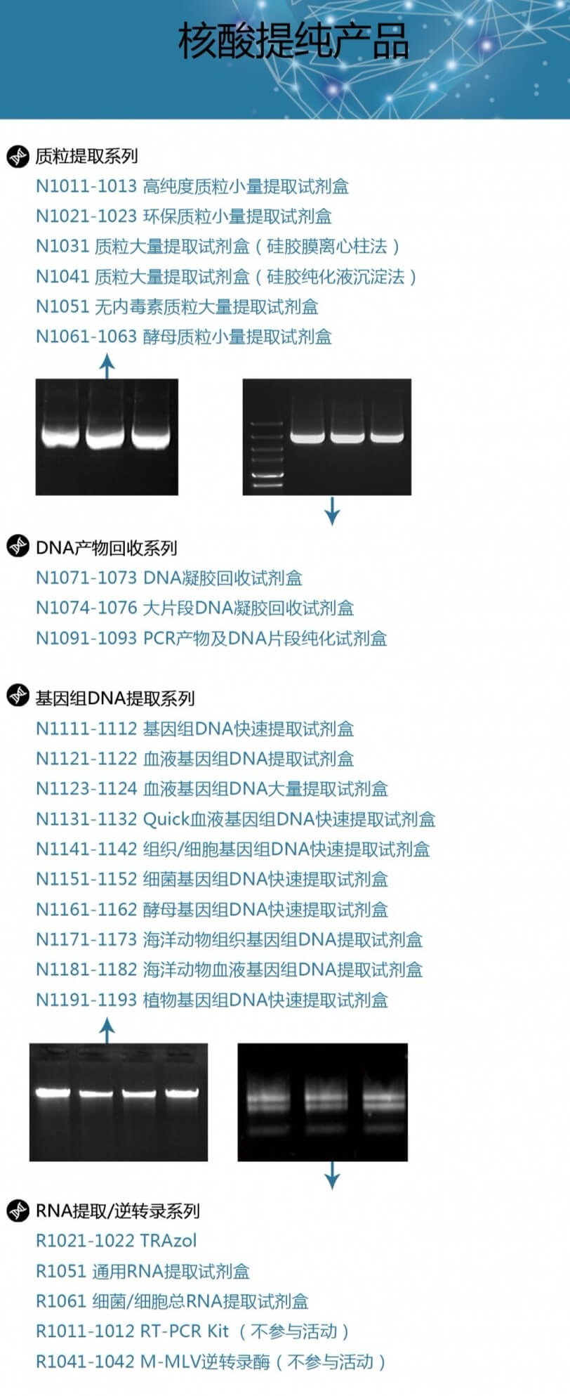 636dcc5f32527 636dcc5f32527