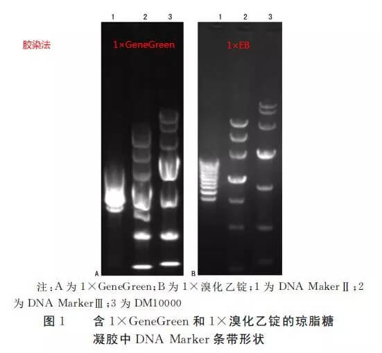 636dc6ef19f68 636dc6ef19f68