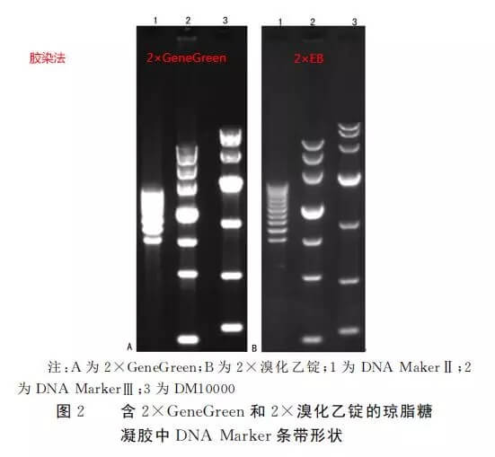 636dc6fcdd638 636dc6fcdd638