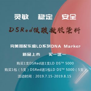 東盛上新丨DSRed無(wú)毒核酸凝膠染料/LD DNA Marker