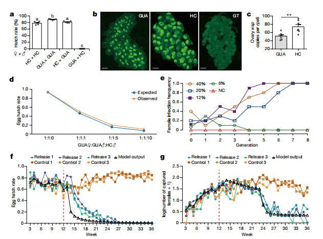 636ded14e6534 636ded14e6534