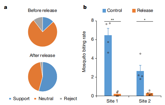636ded3913c86 636ded3913c86