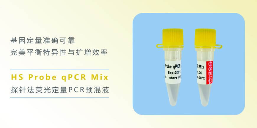 636dc9d3ccdfb 636dc9d3ccdfb