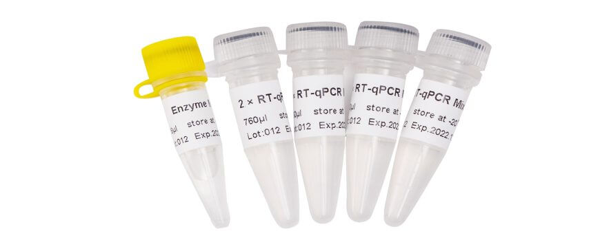 636dc8eecc182 636dc8eecc182