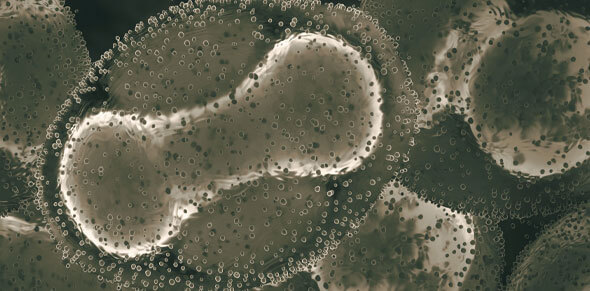 636dbcdf7481f 636dbcdf7481f