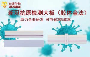 上新了！東盛推出新冠病毒抗原檢測膠體金大板產(chǎn)品