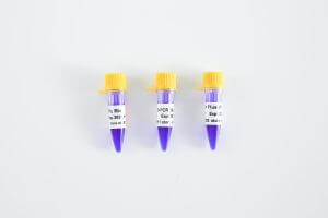 PCR Mix升級丨趁“熱啟動(dòng)”，體驗升級