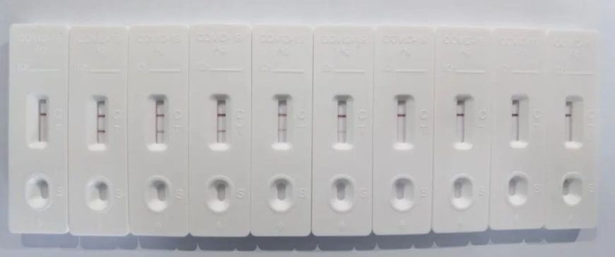 636dbb0e055b8 636dbb0e055b8