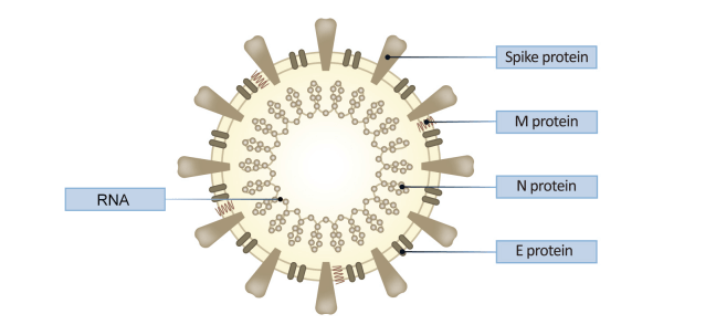 636dbbe556b3b 636dbbe556b3b