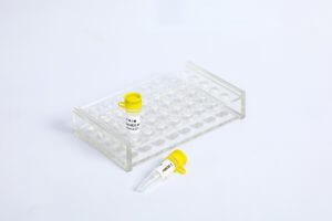 產(chǎn)品上新丨東盛生物2024年1月新品盤(pán)點(diǎn)