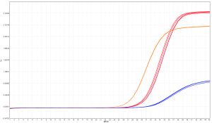 產(chǎn)品推薦丨一款好用穩定的PCR多重酶