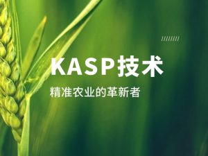 技術(shù)分享丨KASP：精準農業(yè)的革新者
