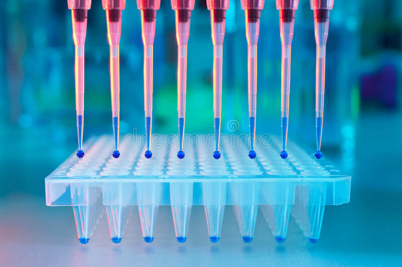 666a50a779d0b 666a50a779d0b