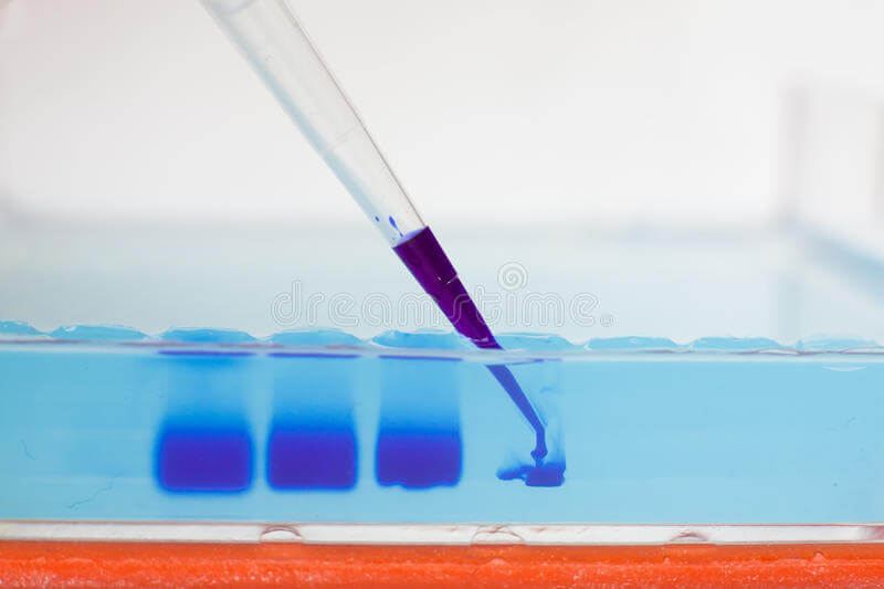 666a50a7f387c 666a50a7f387c