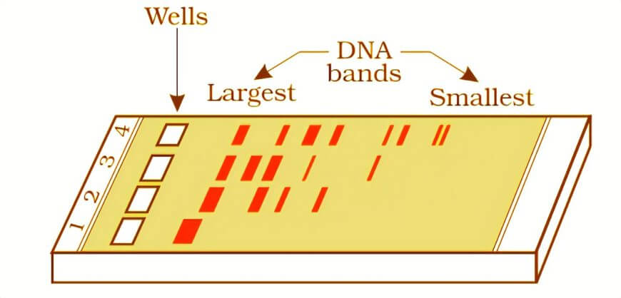 666a50a8e2256 666a50a8e2256