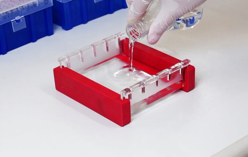 666a50a9ba0b2 666a50a9ba0b2