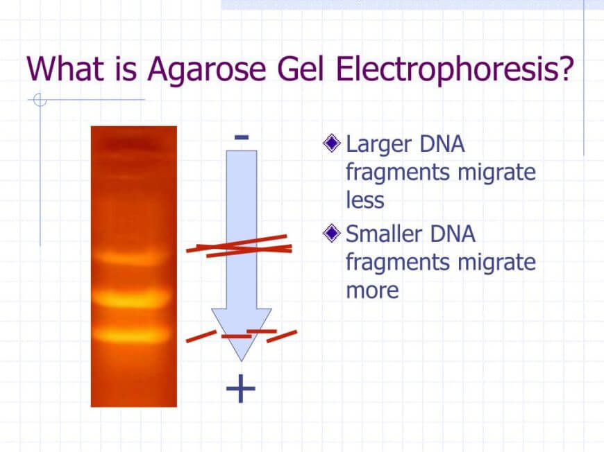 666a51265d7dc 666a51265d7dc