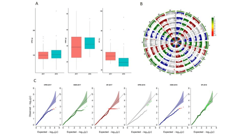 66860c8c92a1a 66860c8c92a1a