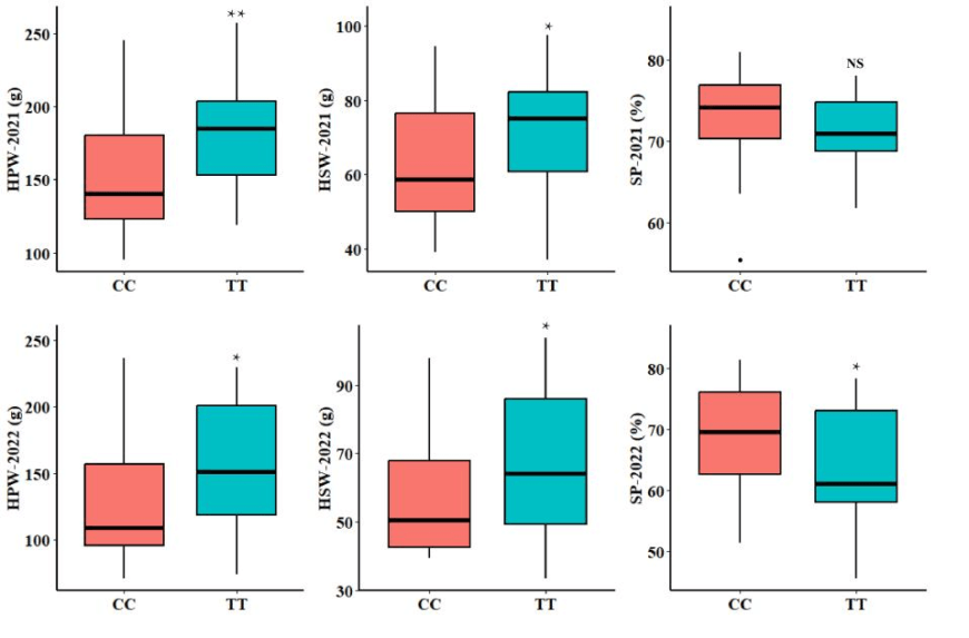 66860c8dd6472 66860c8dd6472