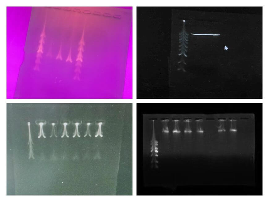 669a1e313c938 669a1e313c938