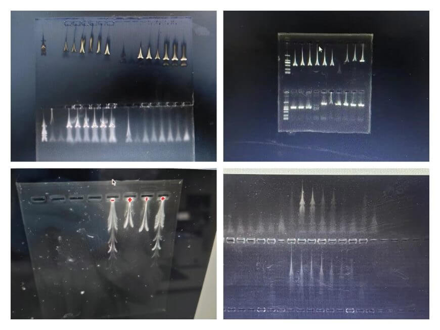 669a1e31979a0 669a1e31979a0