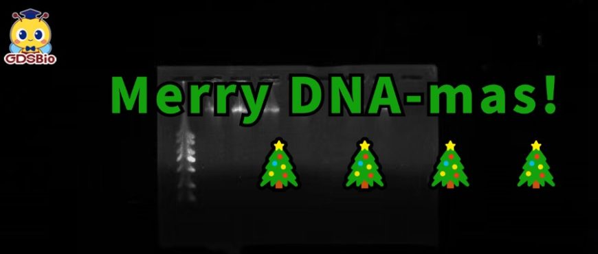 669a24e916f99 669a24e916f99