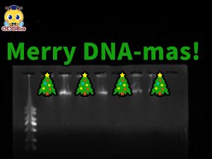 技術(shù)分享丨 實(shí)驗室里的圣誕樹(shù)：DNA電泳條帶的秘密