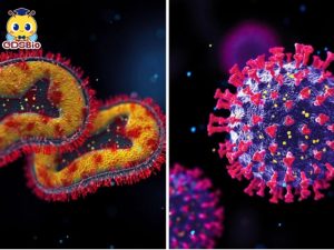 猴痘與新冠病毒：了解兩種病毒的相似之處與不同之處