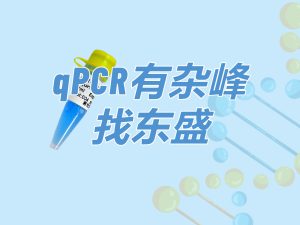 SYBR Green Blue qPCR Mix：qPCR有雜峰 找東盛