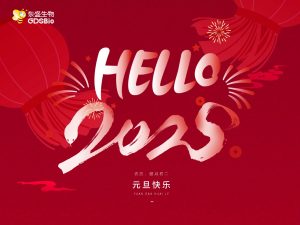 辭舊迎新，共啟2025年新征程