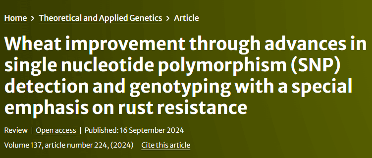 67c1553be0bf6 67c1553be0bf6