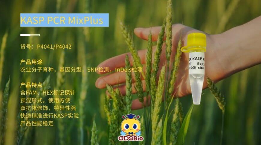 67c1625e4c3e7 67c1625e4c3e7