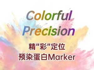 精 “彩” 定位：蛋白 Marker 助力蛋白質(zhì)研究