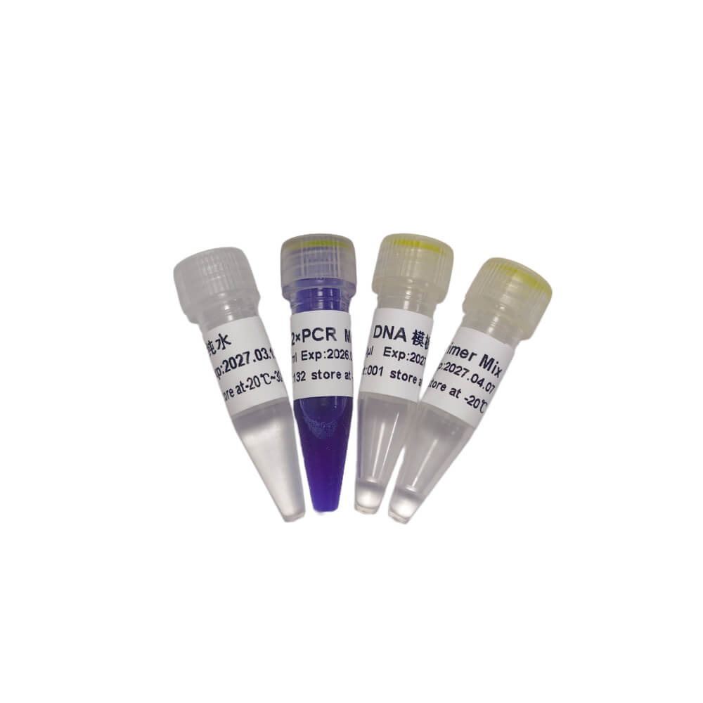 PCR開(kāi)源教學(xué)試劑盒 P8031 P8032