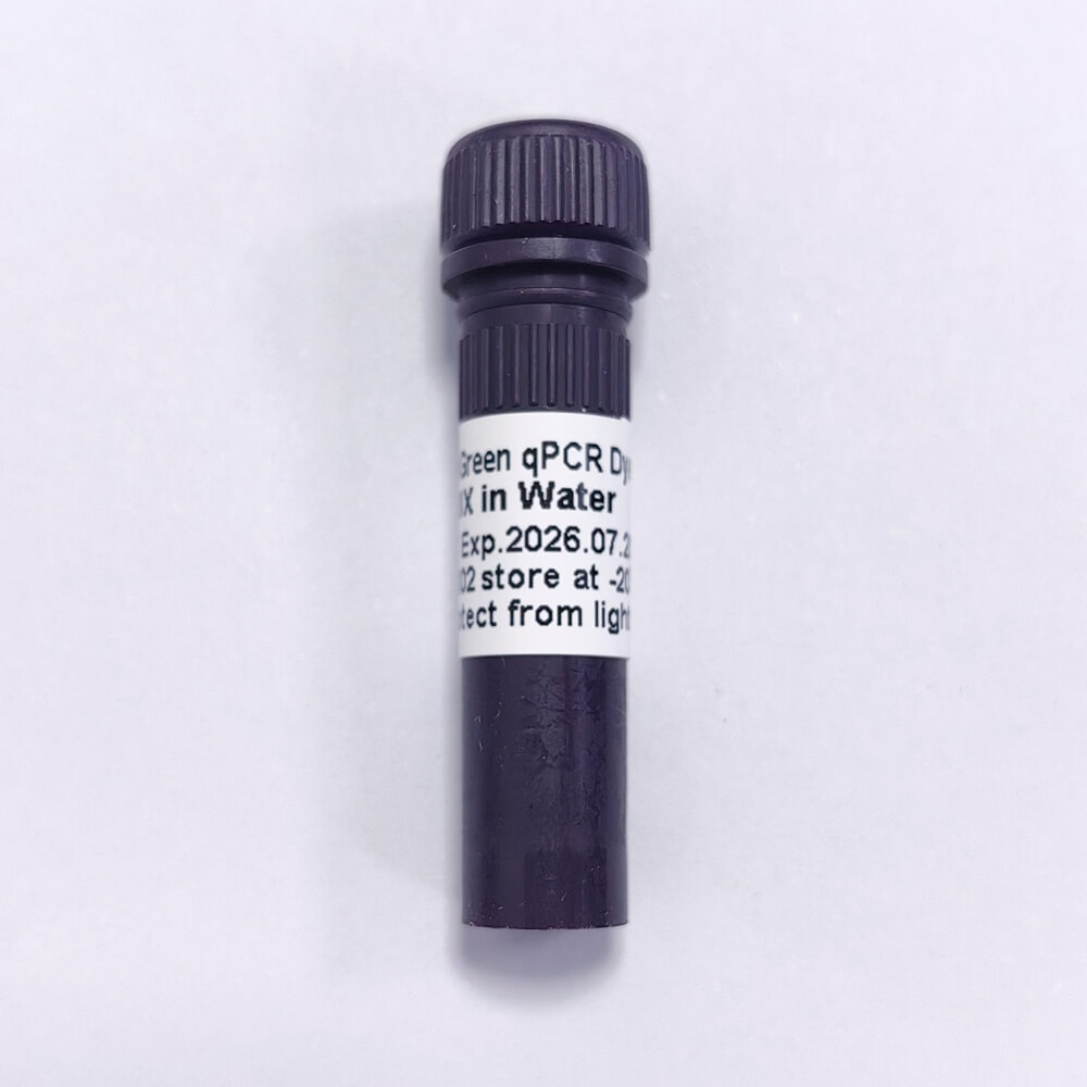 AugeGreen qPCR Dye, 20X in Water P6031-A P6031-B