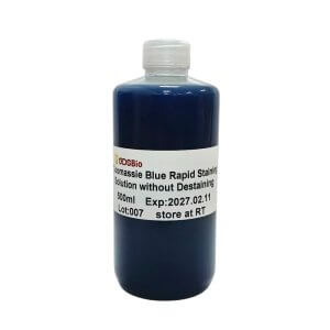 考馬斯亮藍快速免脫染色液