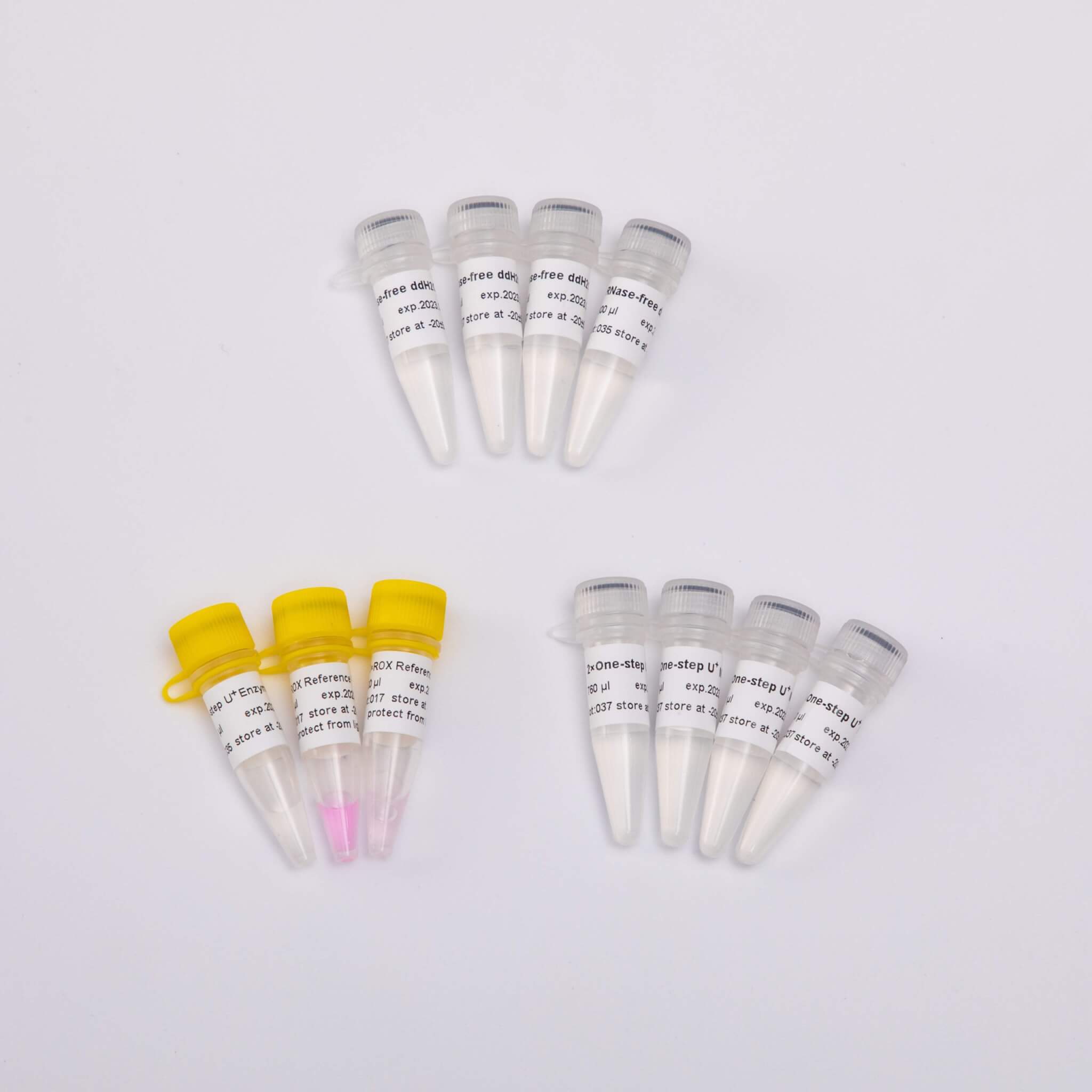 V5001 V5002 一步法核酸檢測試劑盒 one-step RT-qPCR Kit