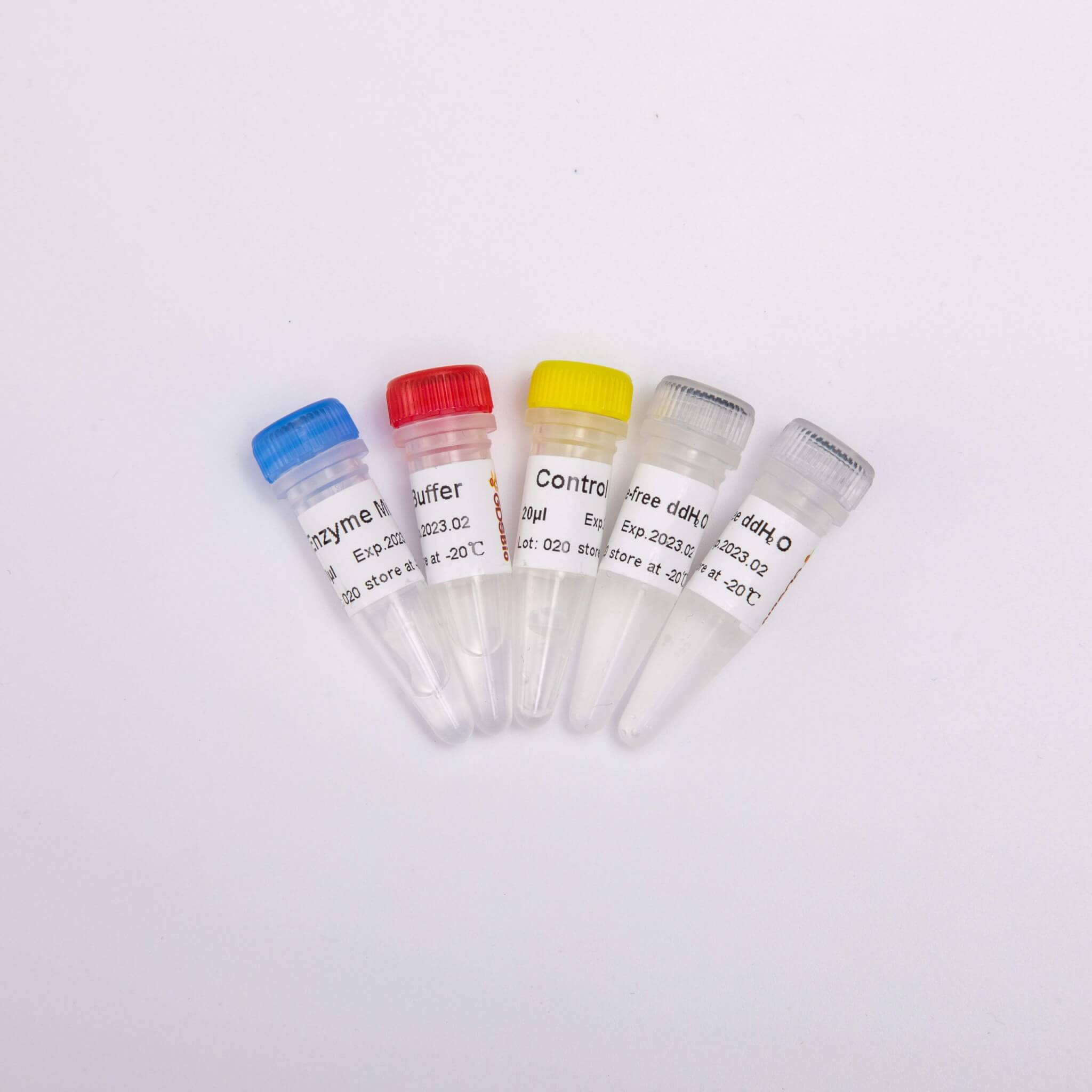 RT-PCR Mix for qPCR(預混型逆轉錄試劑盒)R1031