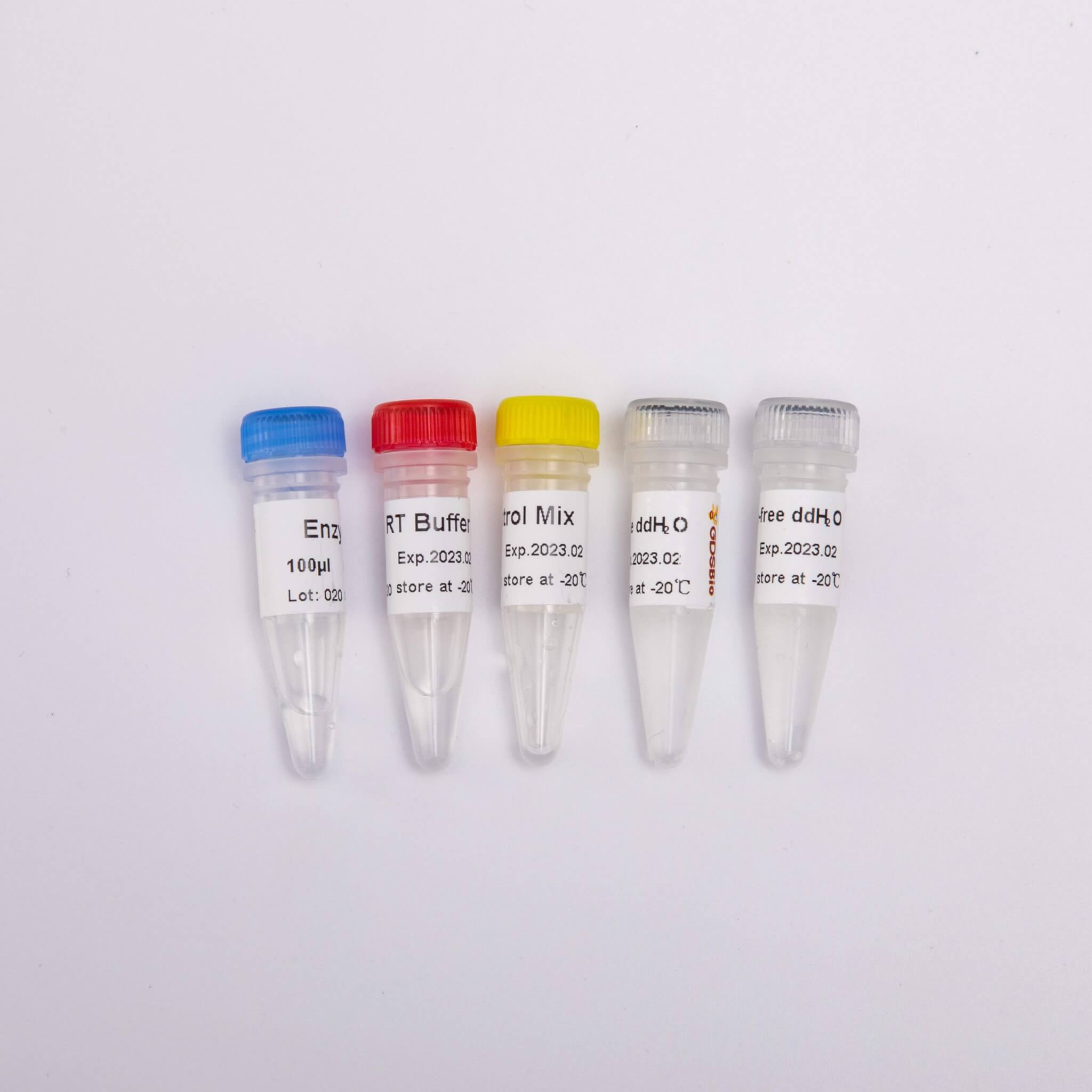 RT-PCR Mix for qPCR(預混型逆轉錄試劑盒)R1031