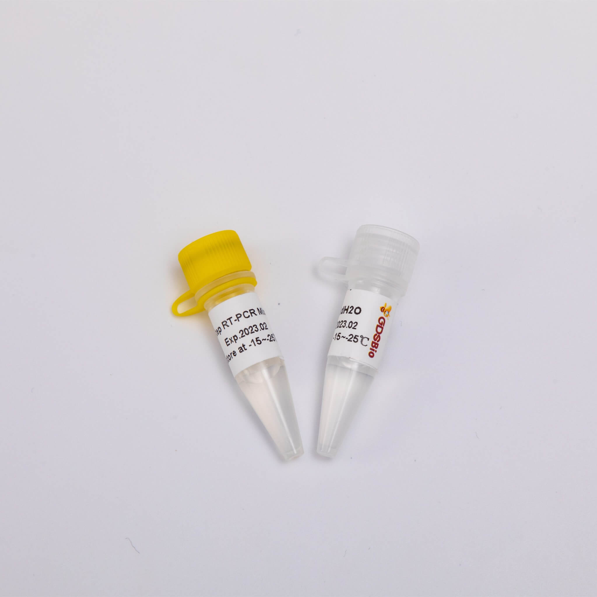 2X One Step RT-PCR Mix RP1001B
