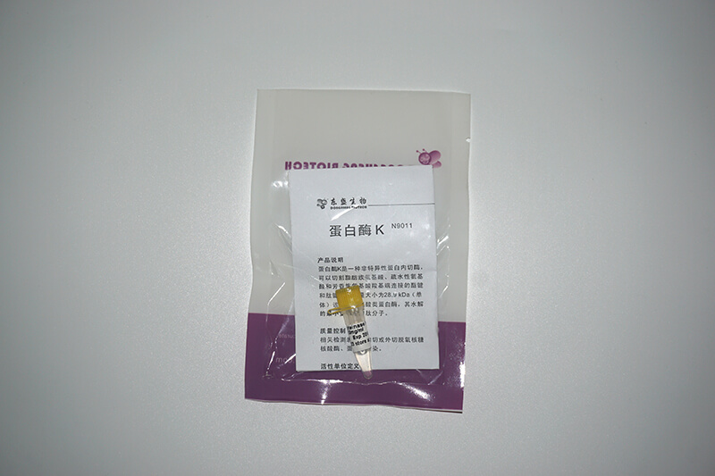 蛋白酶 K(N9011)