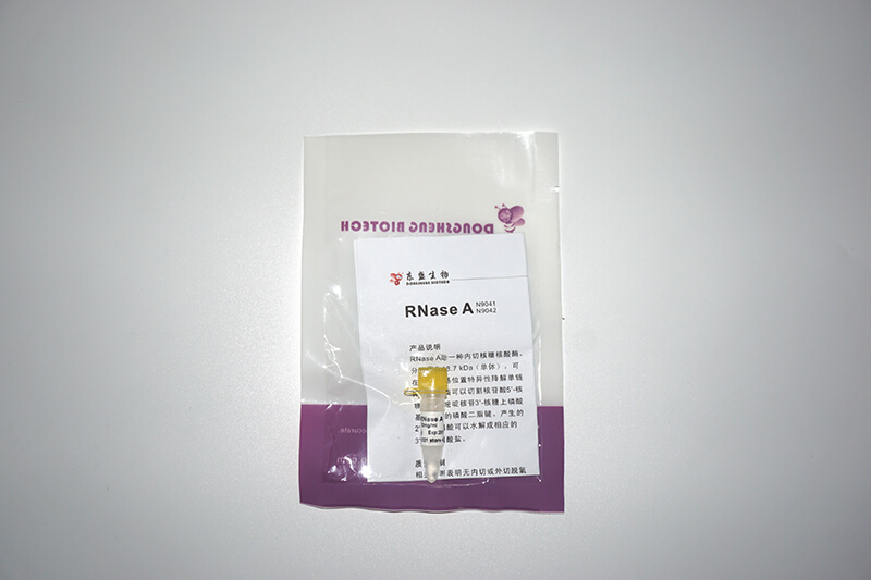 內切核糖核酸酶 RNase A(N9041-N9042)