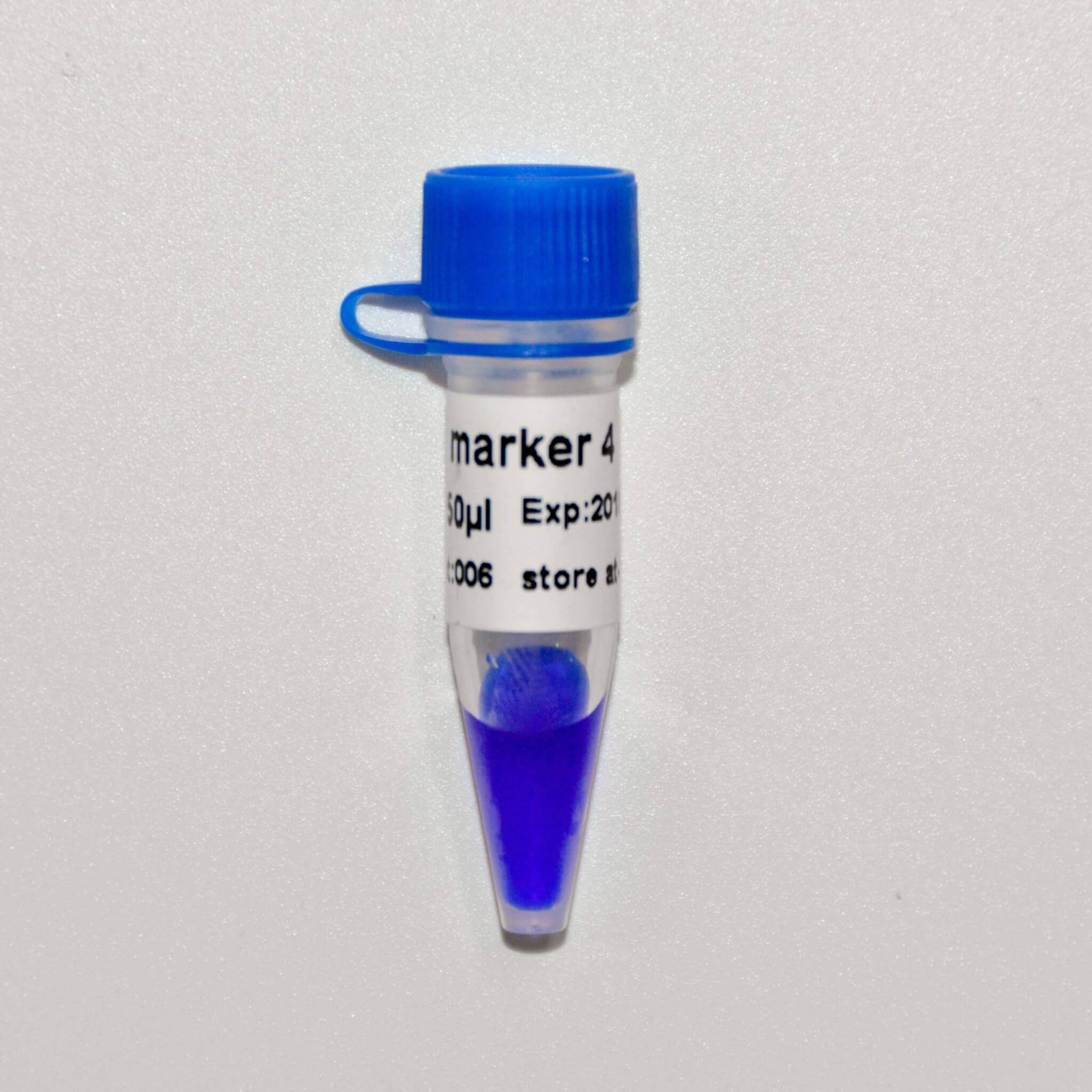 Marker 4 DNA Marker M1231/M1232