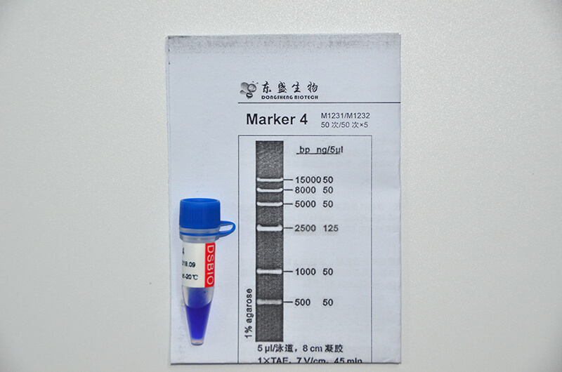 Marker 4 DNA Marker M1231/M1232