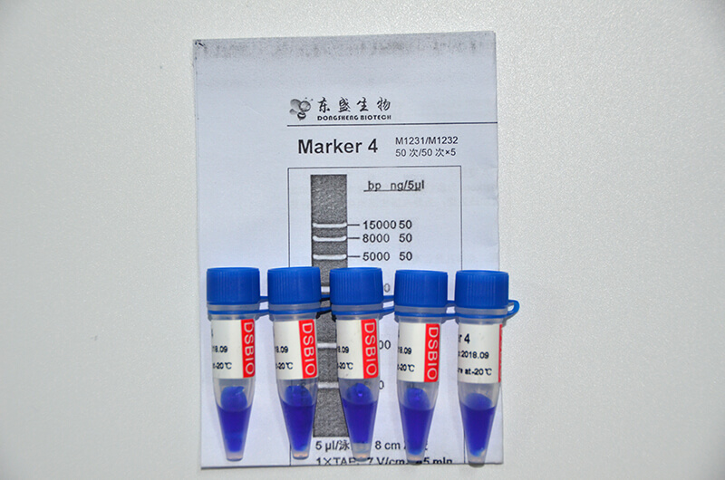 Marker 4 DNA Marker M1231/M1232