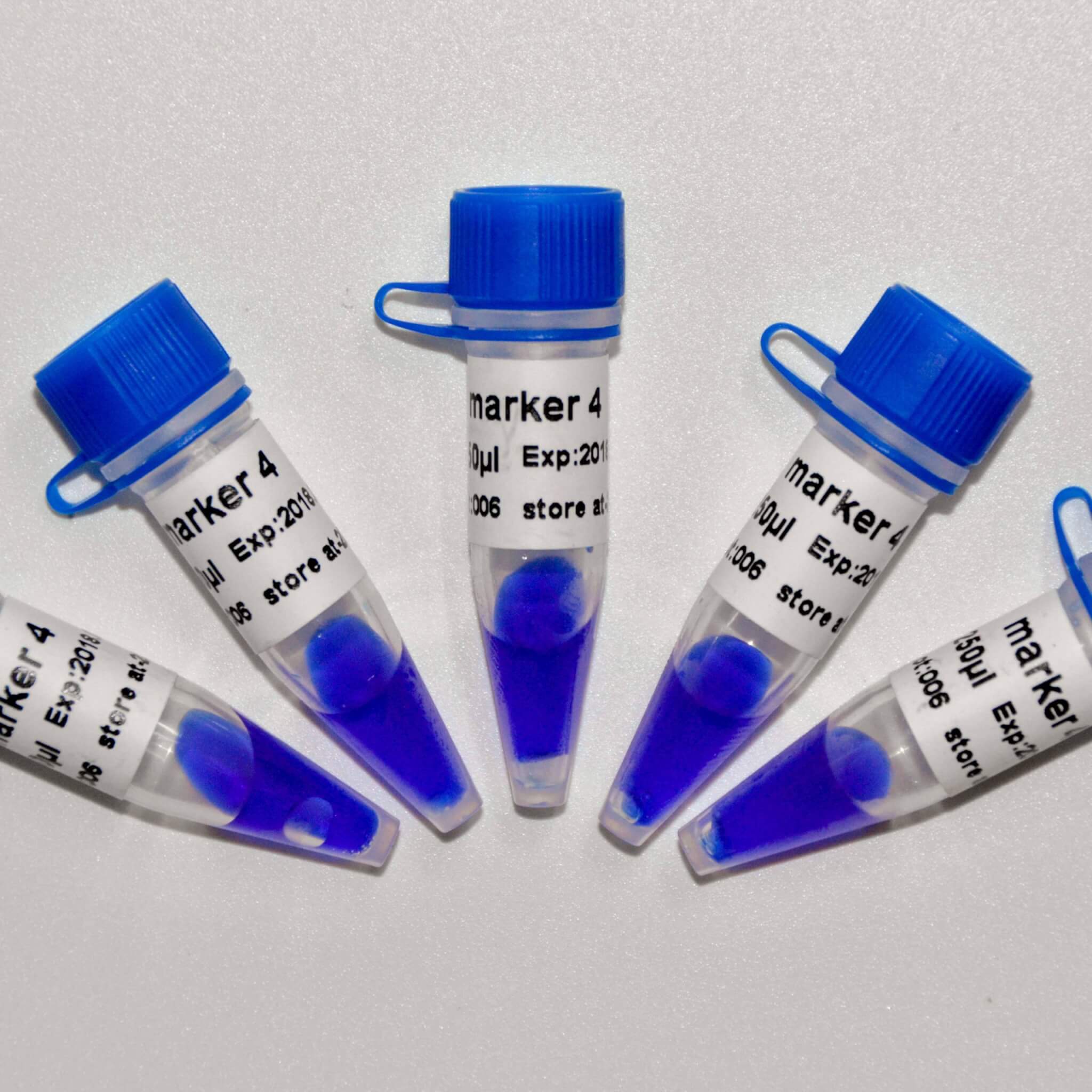 Marker 4 DNA Marker M1231/M1232