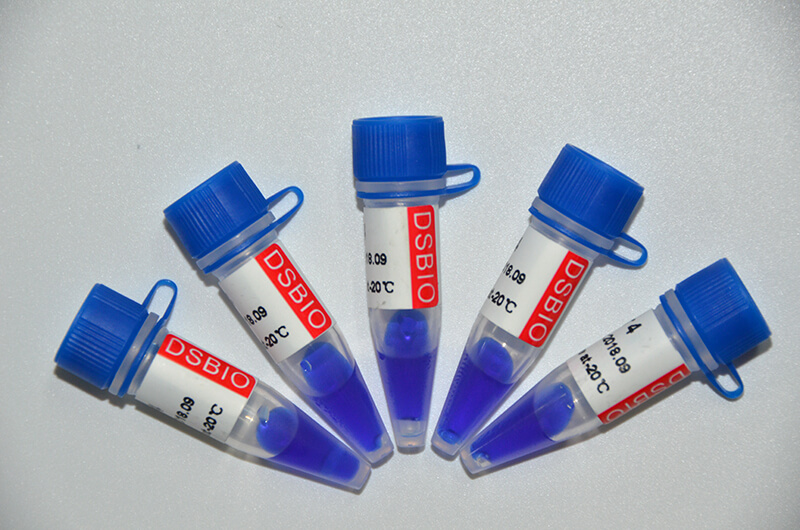 Marker 4 DNA Marker M1231/M1232