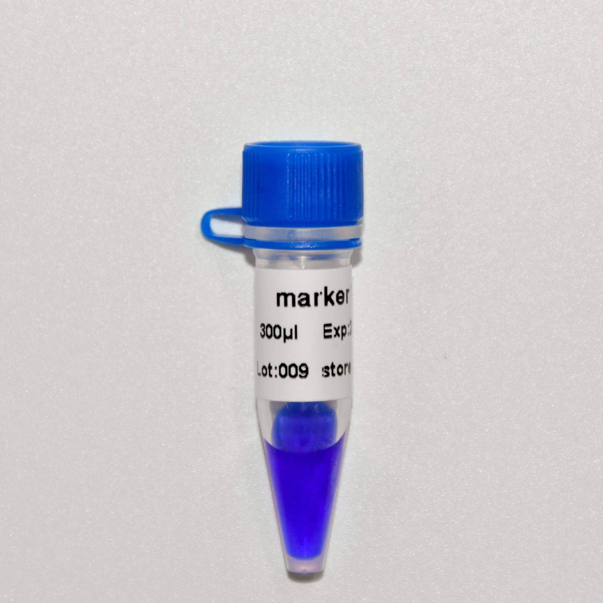 Marker 3 DNA Marker M1121/M1122