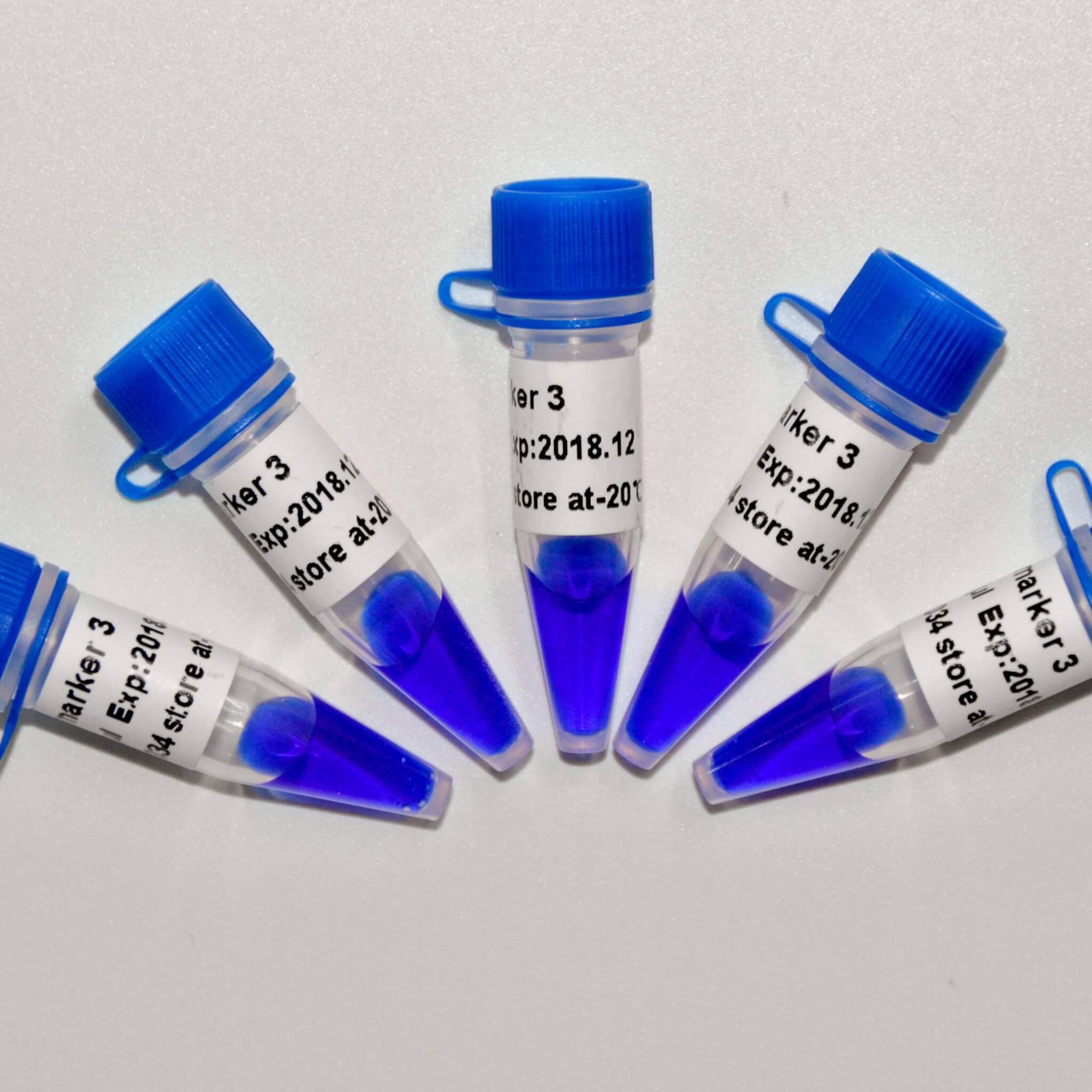 Marker 3 DNA Marker M1121/M1122