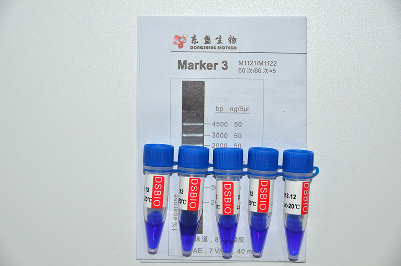 Marker 3 DNA Marker M1121/M1122